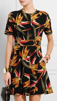 'Bird of Paradise' Printed Silk-Cady Dress