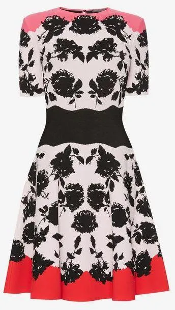 Floral-Print Knitted Fit and Flare Dress