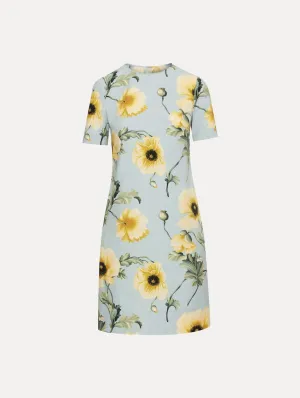 Poppy Cotton Poplin Shift Dress
