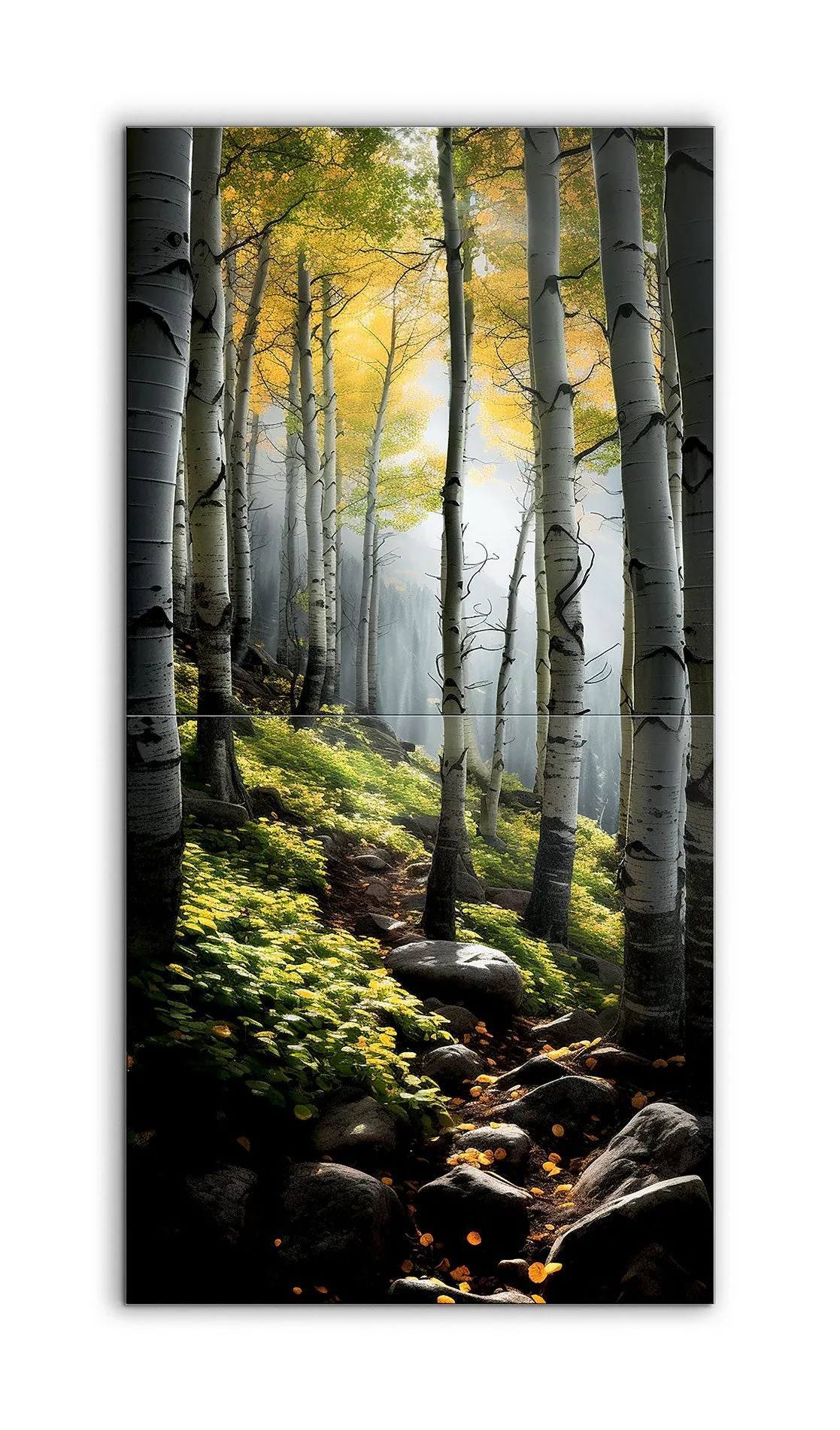Serene Birch Forest: Summer to Autumn Transition