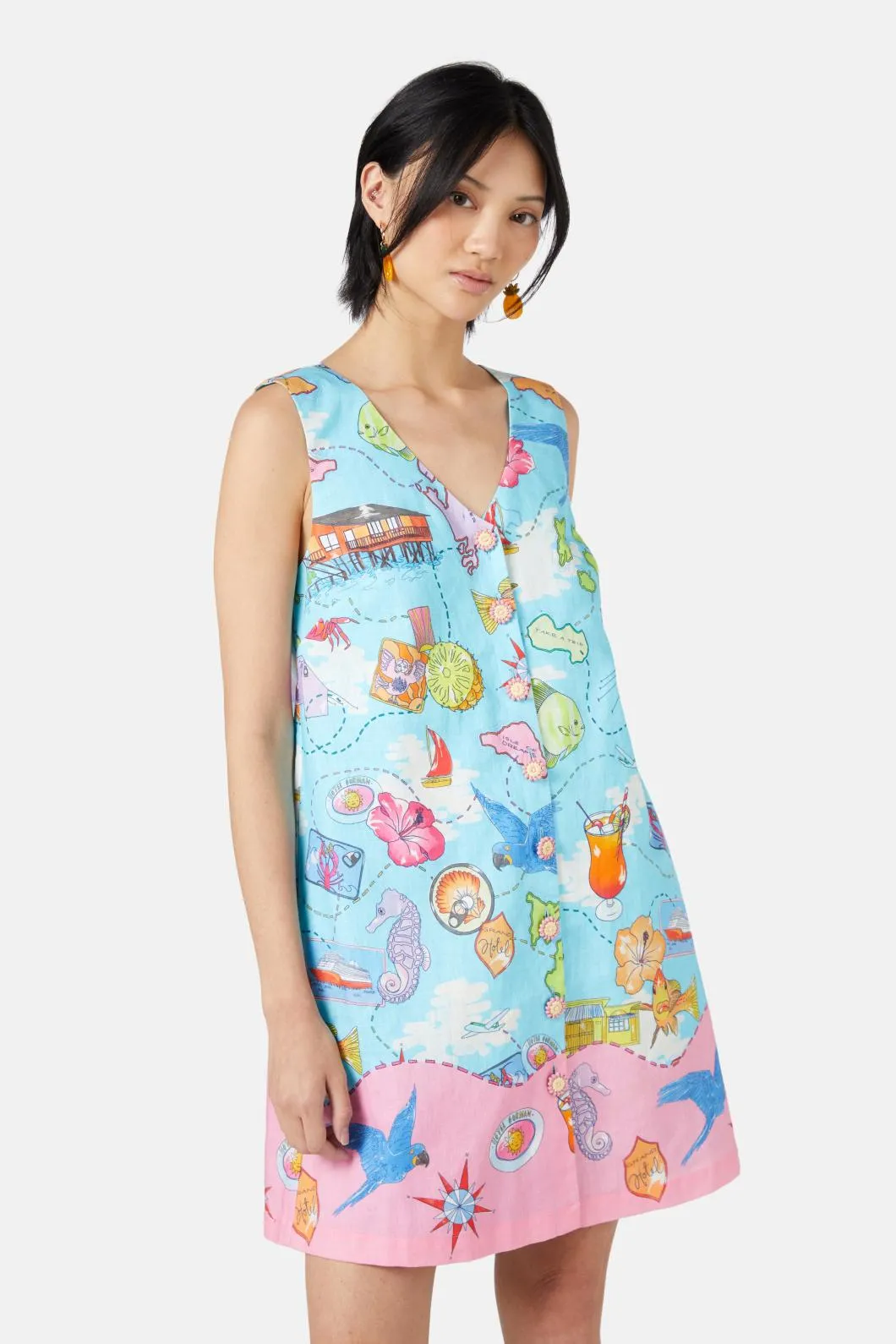Souvenir Dress